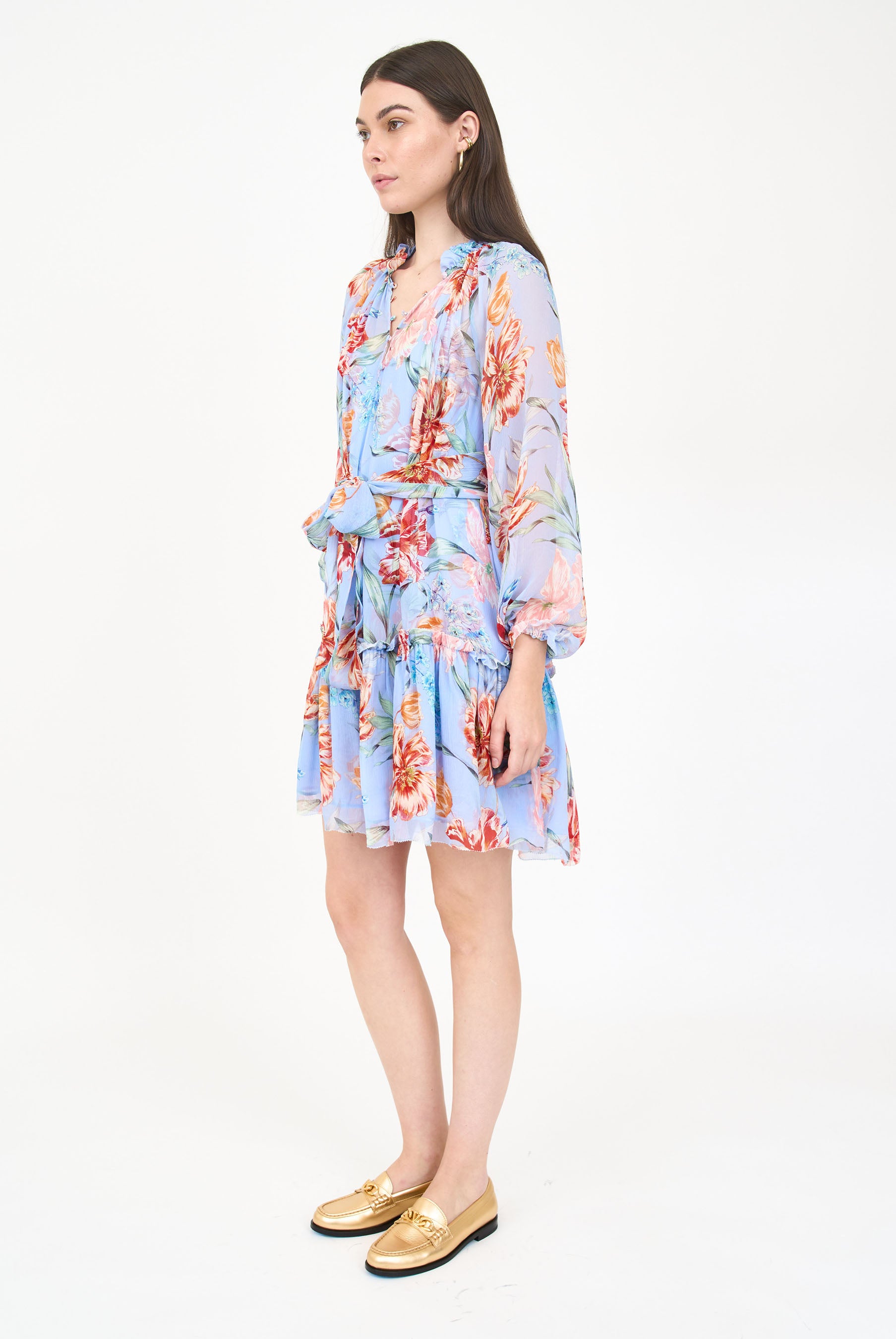 Jenny Dress- Blue Garden